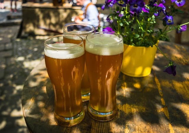 beer