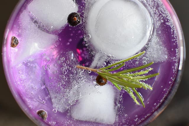 gin